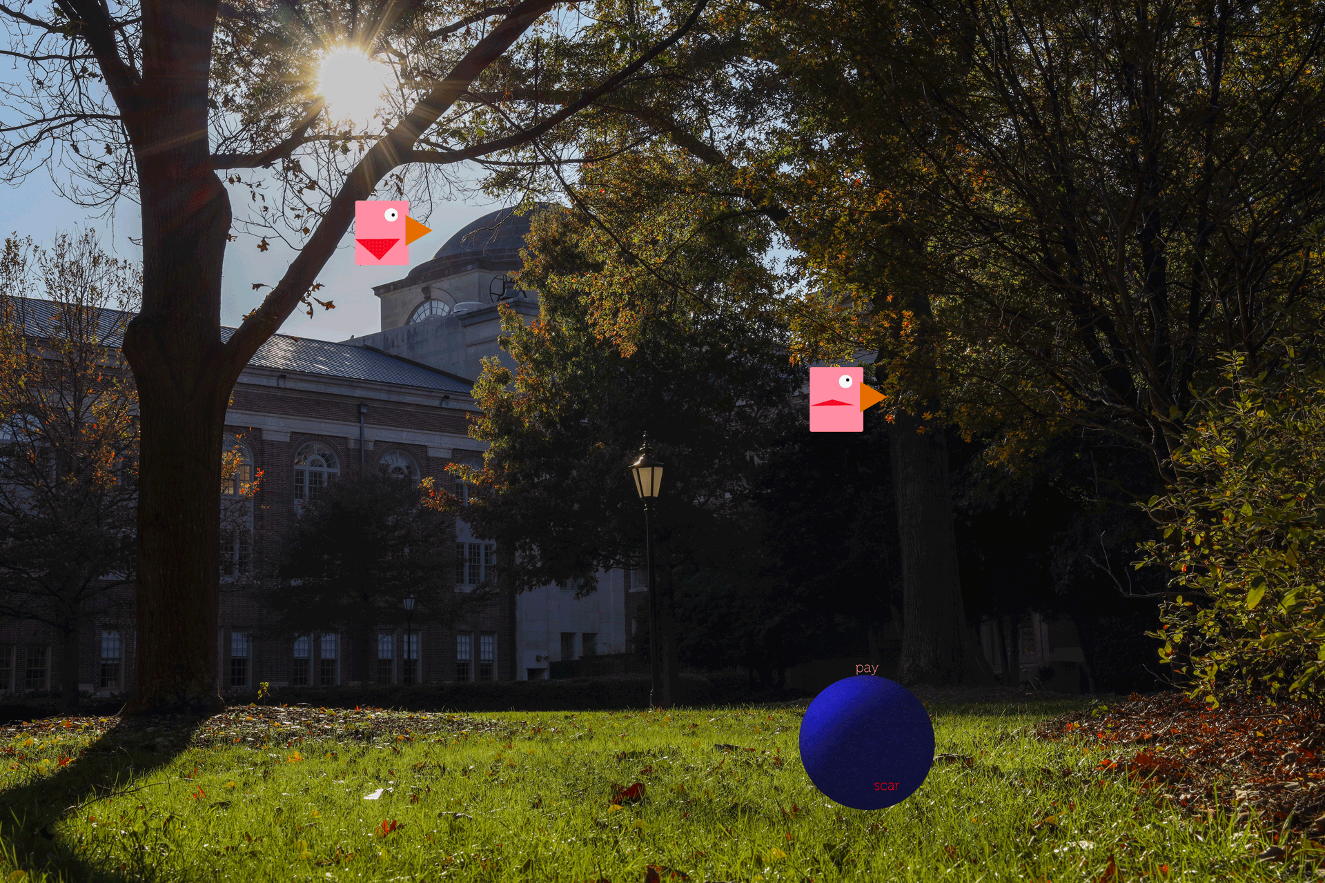 Shows an image of Davidson College on a sunny day, with two pink birds ignoring a jarringly blue ball down below.